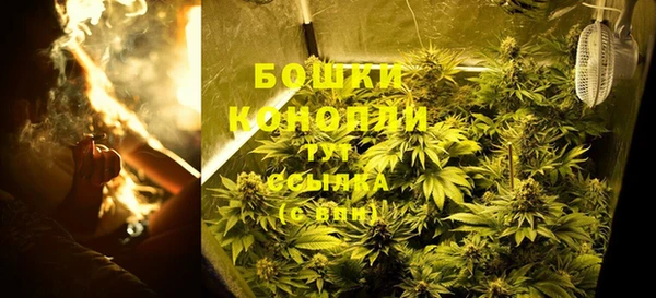 сатива Аркадак