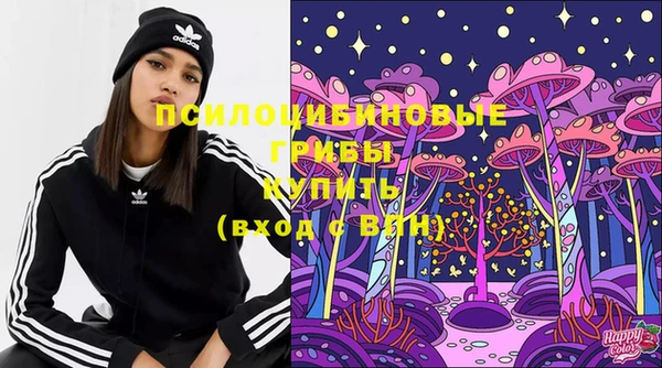 ешки Алексин