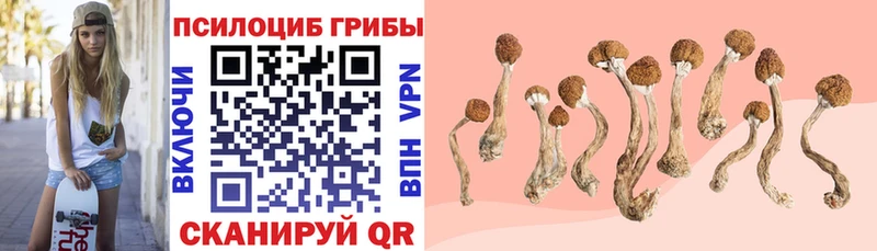 Псилоцибиновые грибы прущие грибы Волоколамск